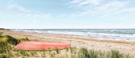 Beach nearby, fishing