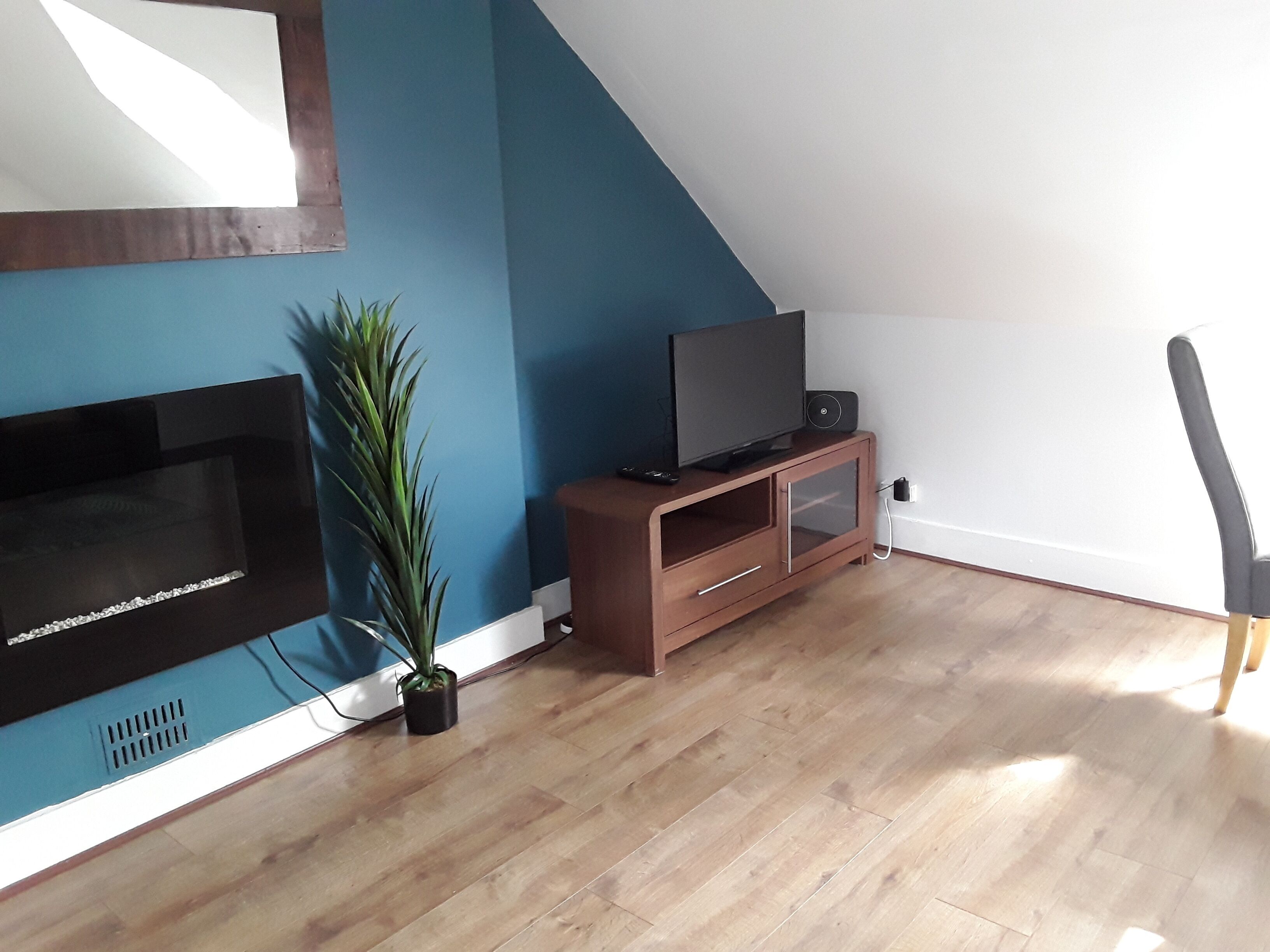A room with a TV on a wooden stand, a potted plant, and a wooden floor.