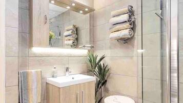 Shower, hair dryer, towels