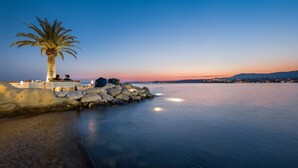 Un paysage côtier avec un palmier, un mur de pierre et une mer calme au crépuscule.