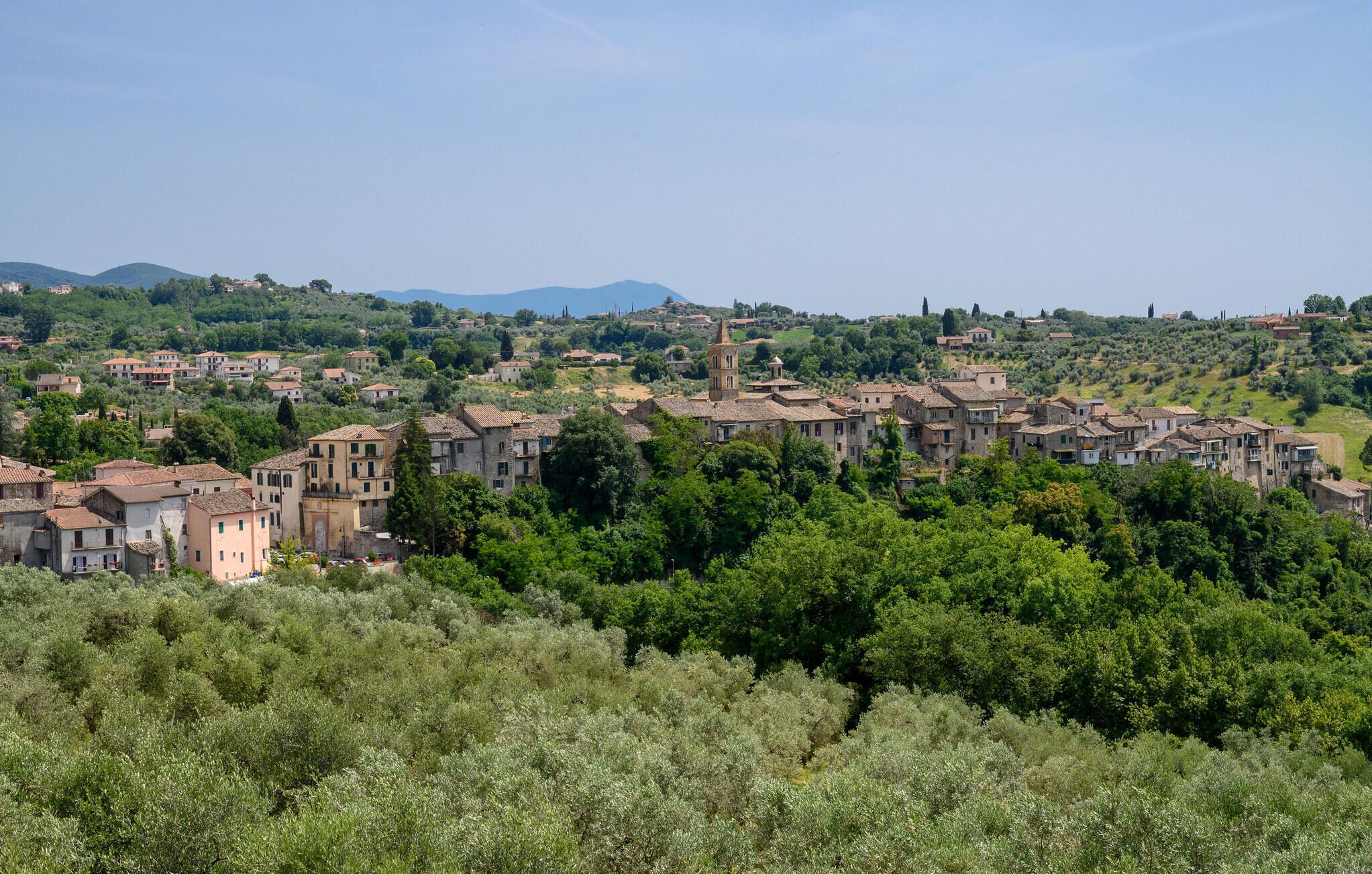 A hillside village with traditional stone buildings, dense greenery, and a clear sky.