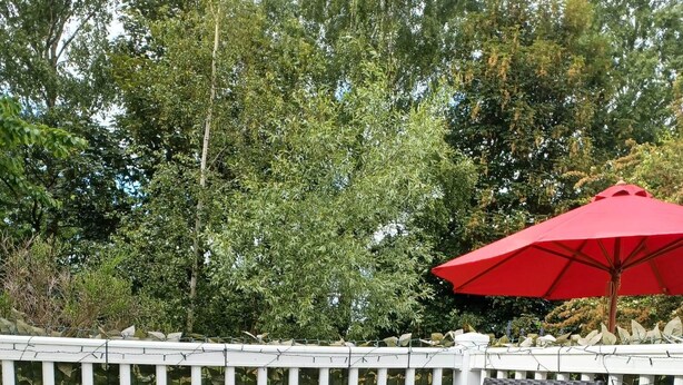 A deck with wicker furniture, a glass table, and a red umbrella. - Daisy's Luxury Caravan (Lincoln)