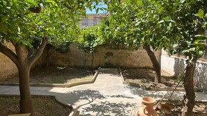 Un patio con sendero de concreto, árboles y una maceta de terracota.