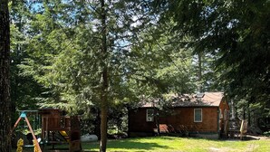Een chalet met een houten terras, omringd door dichte bomen en een schommelset.