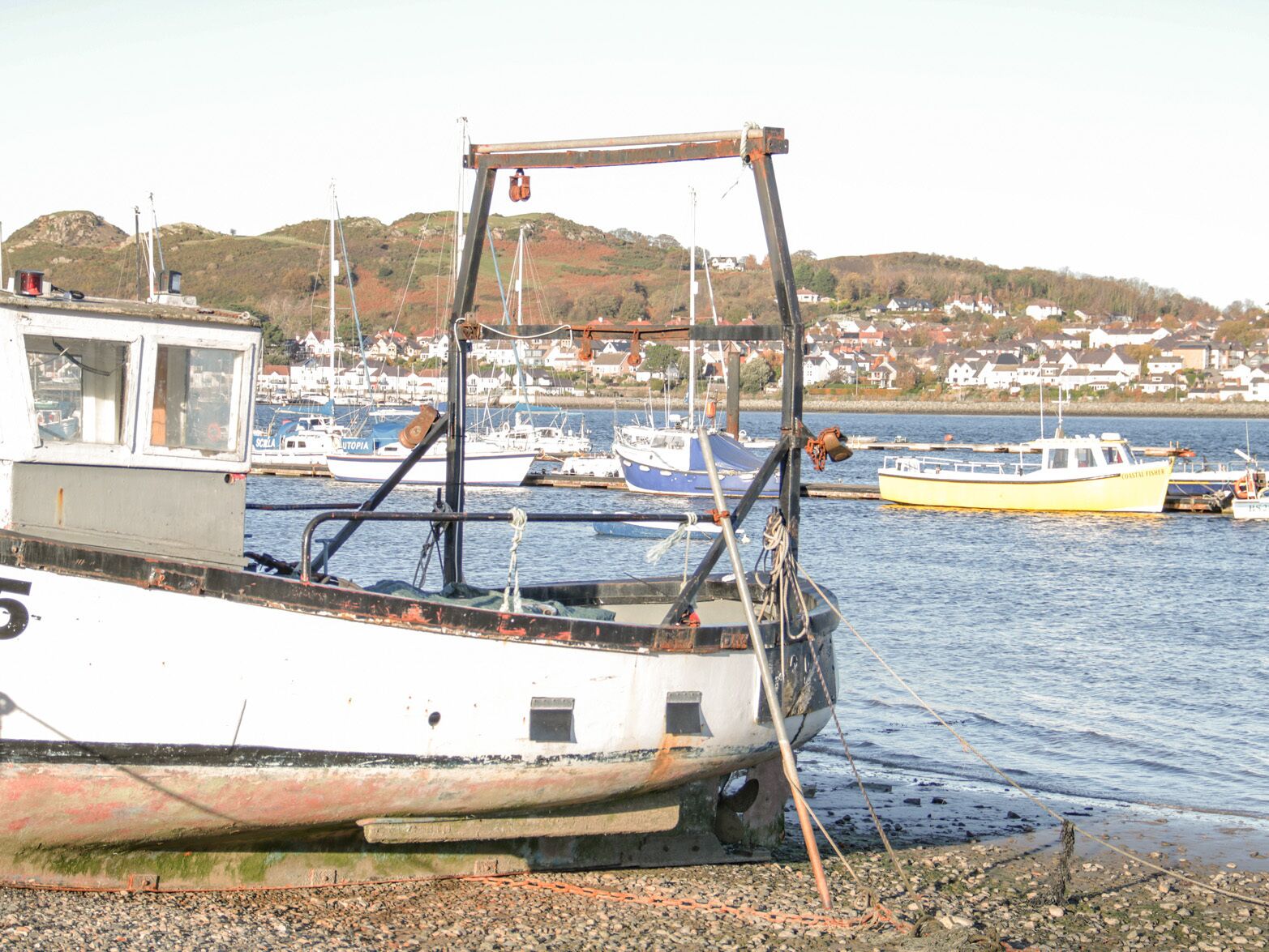 A boat docked at a harbor with a rocky shore and houses in the background.