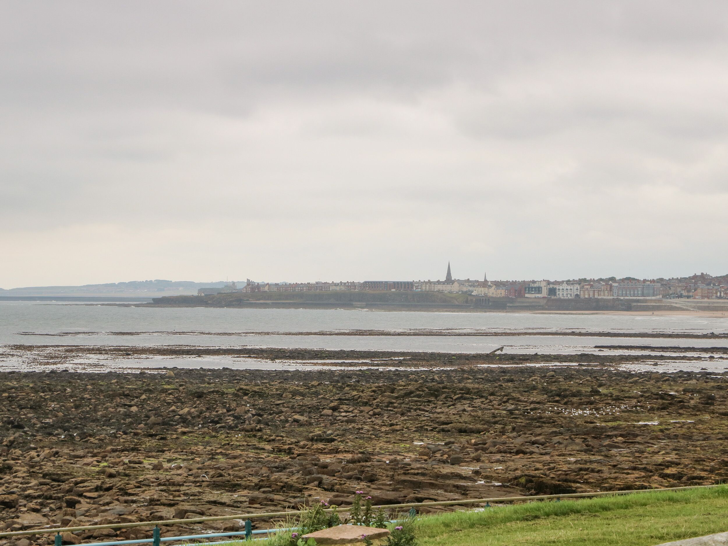 A coastal landscape with rocky shores and a distant cityscape.