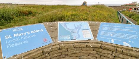 A stone wall with signs for St. Mary's Island Local Nature Reserve, including a map and visitor information.