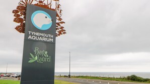 A sign for the Tynemouth Aquarium with a logo and text. - 2 Hartburn Road (North Shields)