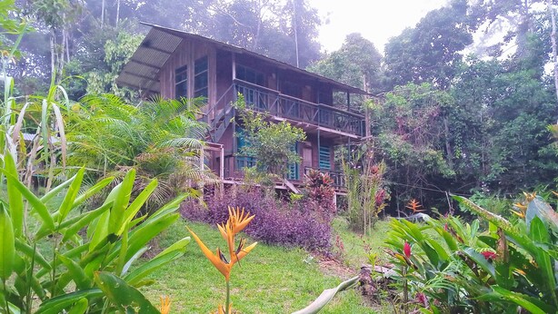 Una casa de madera con balcón, rodeada de abundante vegetación y diversas plantas.