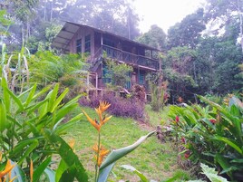 Ecotours