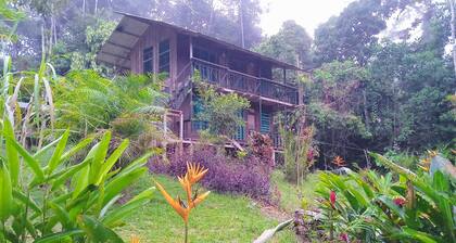 Cabañas EcolĂłgicas Mu'ĂŒ