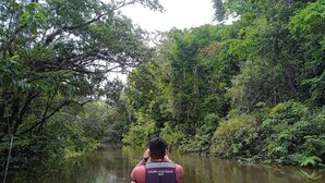 Una persona en una canoa, con chaleco salvavidas, remando por un río rodeado de abundante vegetación.