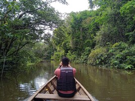 Paseos en bote