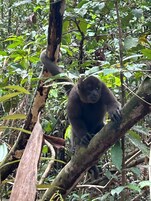 Ecotours