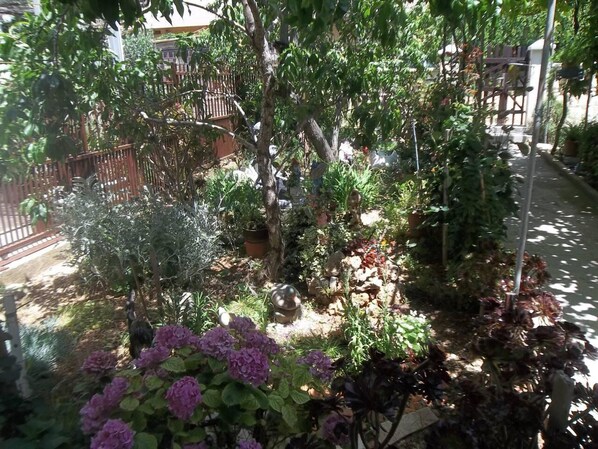 Lejlighed | Overnatningsstedets område