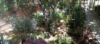 Apartment Antica No.3