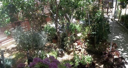 Apartment Antica No.3