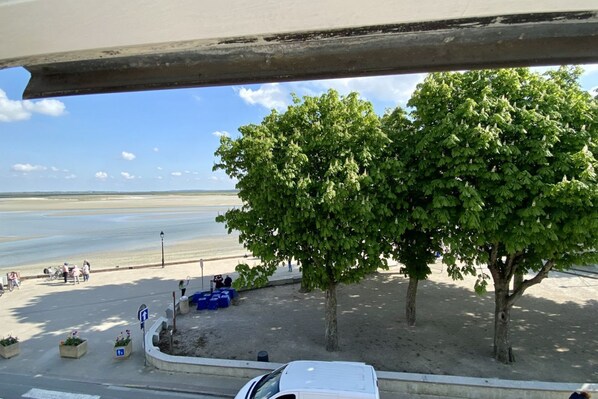 A beach view with a parking area, trees, and a clear sky.