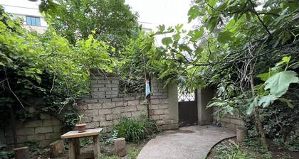 a Sweet Home With a Garden in the Heart of Tbilisi