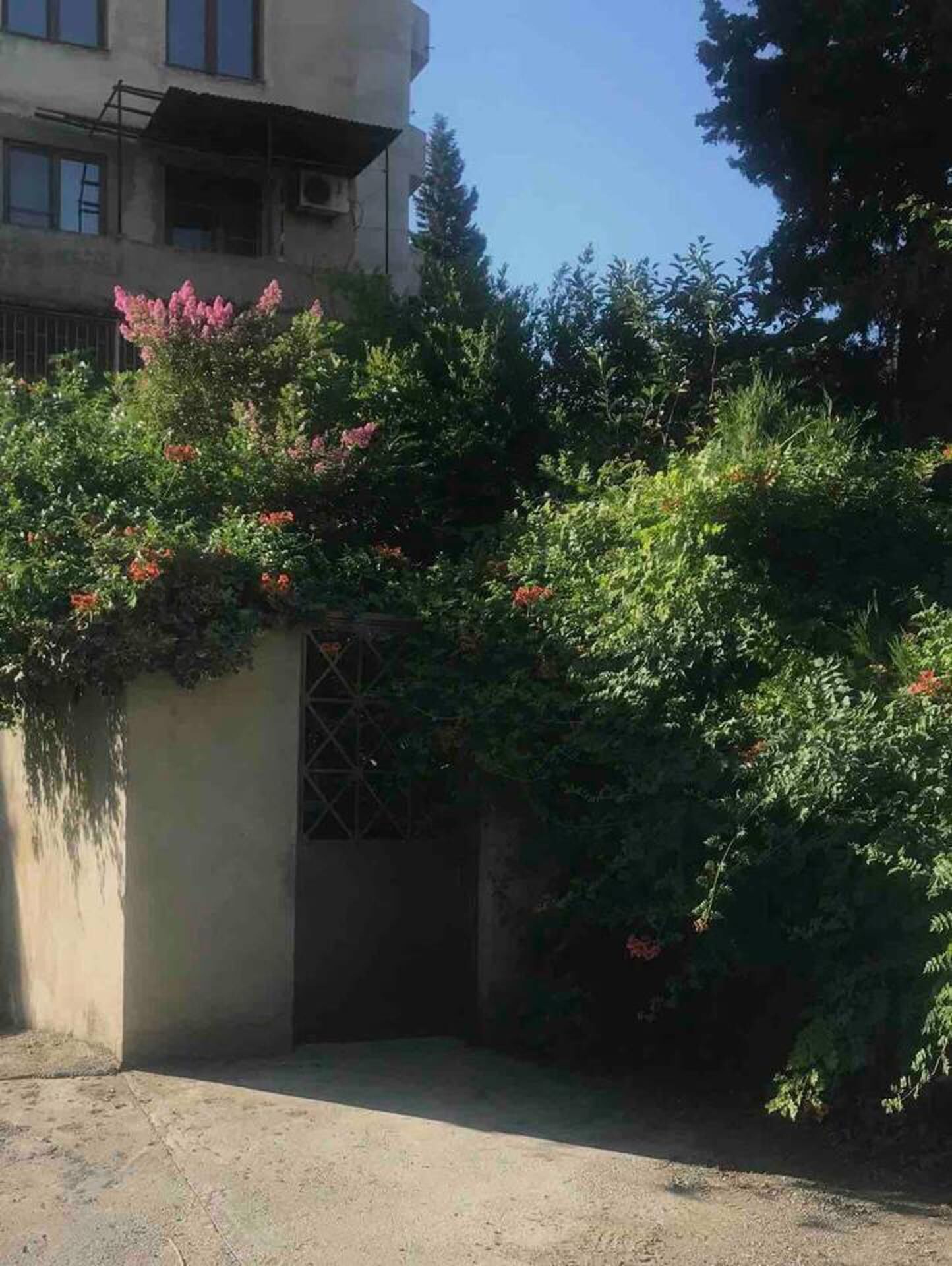 House | Property grounds