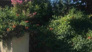 Ein Gebäude mit einer Betonfassade, einem Metallgitter und dichtem Grün mit rosa Blüten.