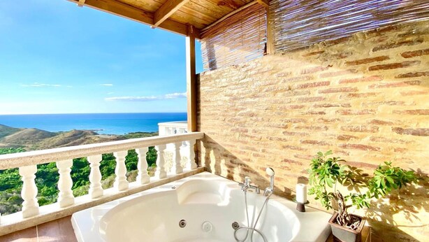 Ein Badezimmer mit Badewanne, Dusche und einer Zimmerpflanze.