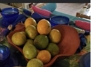 Estudio | Restaurantes