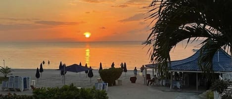 Estudio | Áreas de la propiedad