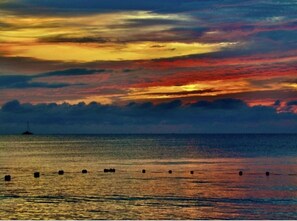 Estudio | Playa | Playa en los alrededores 