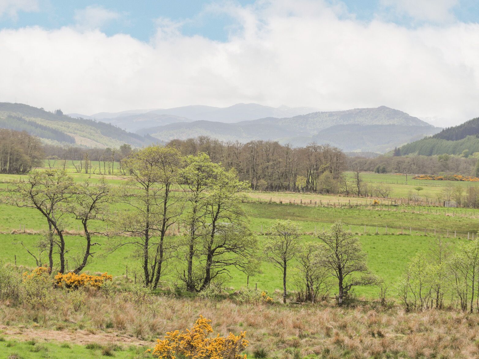 A rural landscape with open fields, scattered trees, and distant mountains under a cloudy sky.