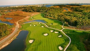 En vy över en golfbana från ovan, med flera bunkrar, vattenhinder och en välskött fairway.