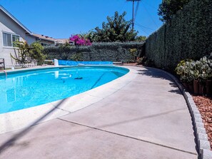 Una piscina con borde curvo, rodeada por un solárium de hormigón y un seto.