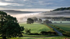 Ländliche Landschaft mit einer Straße, grünen Feldern und Bäumen.