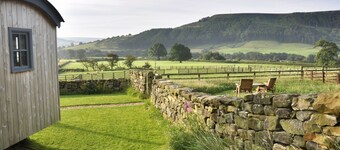 シープ コート シェパーズ ハット