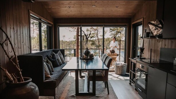 A modern interior with a wooden ceiling, a sofa with cushions, a dining table, and a kitchen area with cabinets and a stove. - Luxurious Tree Top Cabin by the Lake (Iveland)