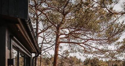 Luxurious Tree Top Cabin by the Lake