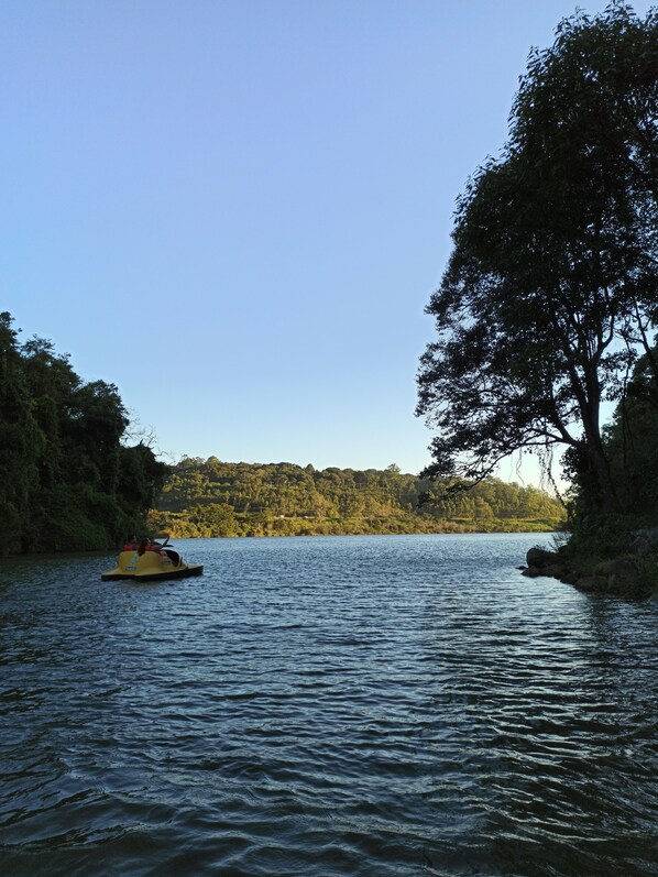 A calm lake with a yellow boat and a large tree on the right. - Pousada Belas Aguas Mairipora (Mairipora)