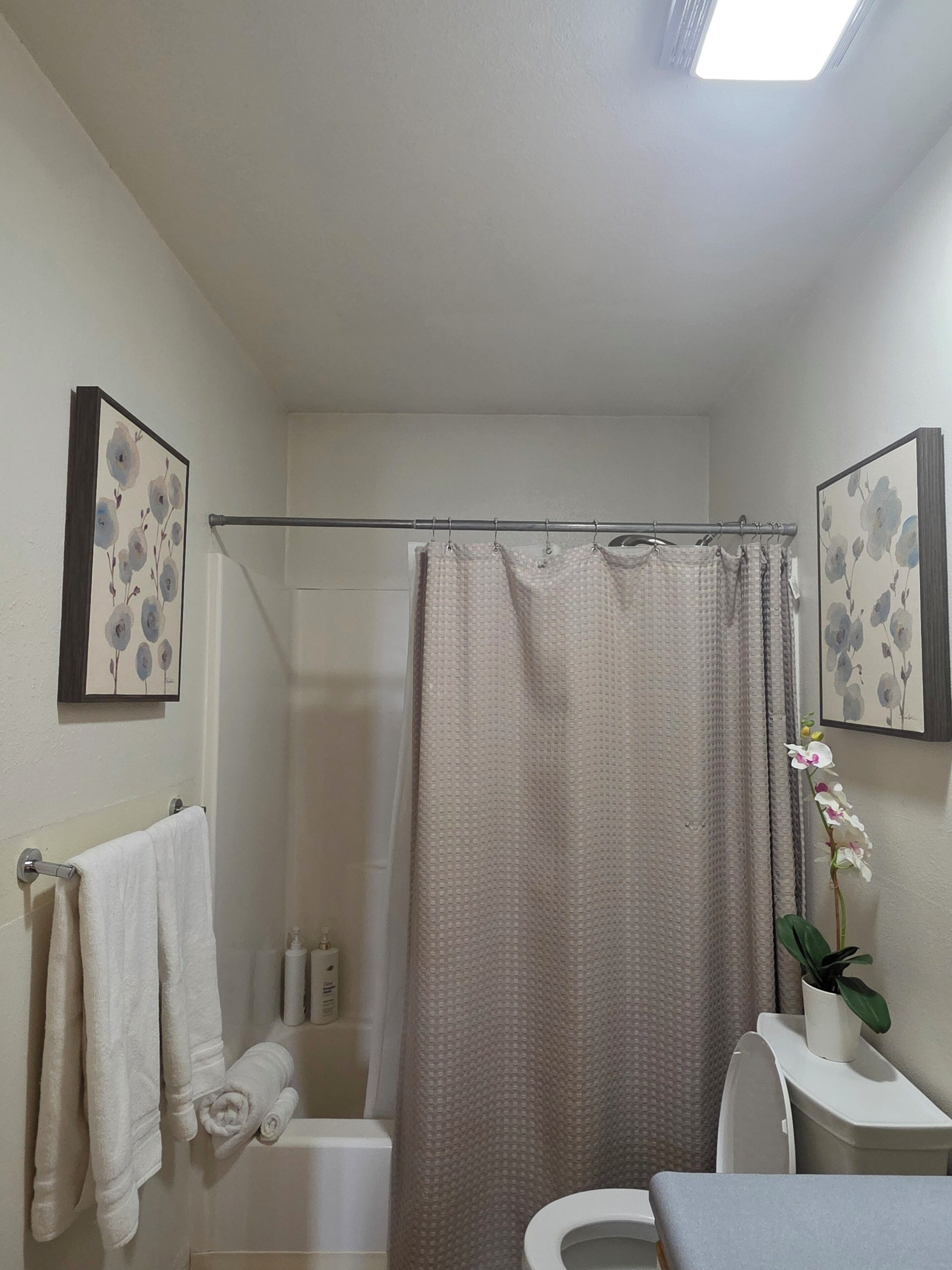 Ducha, secador de pelo, toallas, jabón