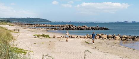 Beach nearby, fishing