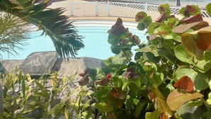 Een zwembadterras met uitzicht op de oceaan, omringd door tropische planten en een palmboom.
