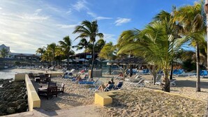 Een strand met ligbedden en parasols, palmbomen en een rotsachtige kustlijn.