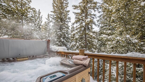 Een hottub omgeven door met sneeuw bedekte bomen.