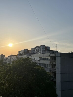 Exterior - Peaceful-private-warm-bright (Beograd)