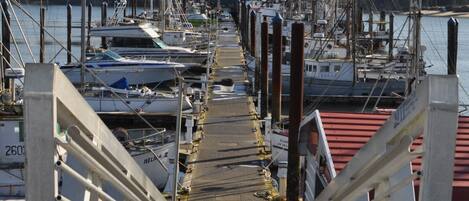A pier leading to a marina with boats docked.