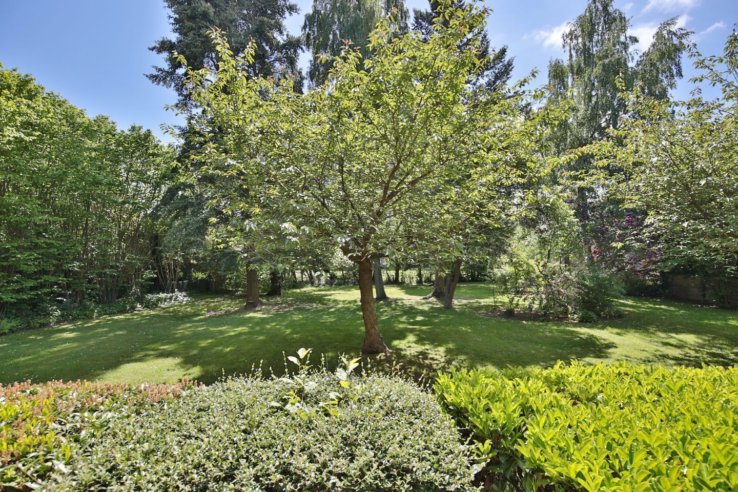 Een verzorgde tuin met verschillende bomen en struiken, een heldere lucht en een keurig gemaaid gazon.