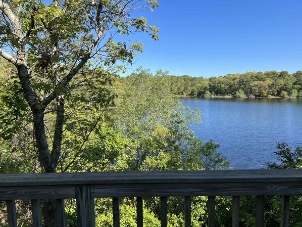 Property grounds - Private Beach on Pond, Linens Included, Kayak & Canoe. All Rooms w/ Pond Views! (Chatham)