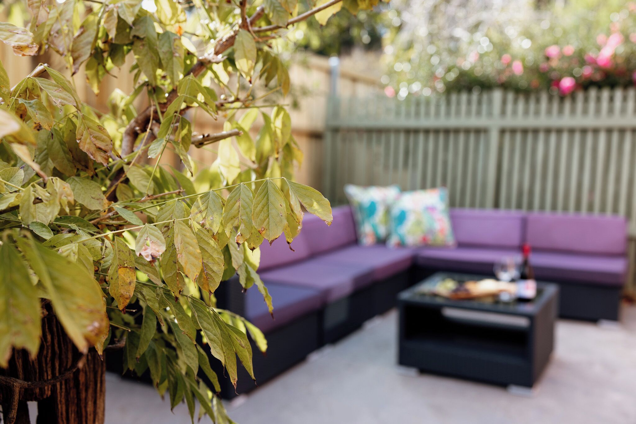 Un espace extérieur aménagé avec un canapé violet et une table basse.