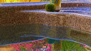 Een blik 'Chill' bier op een rand, met een plant en bloemen op de achtergrond.