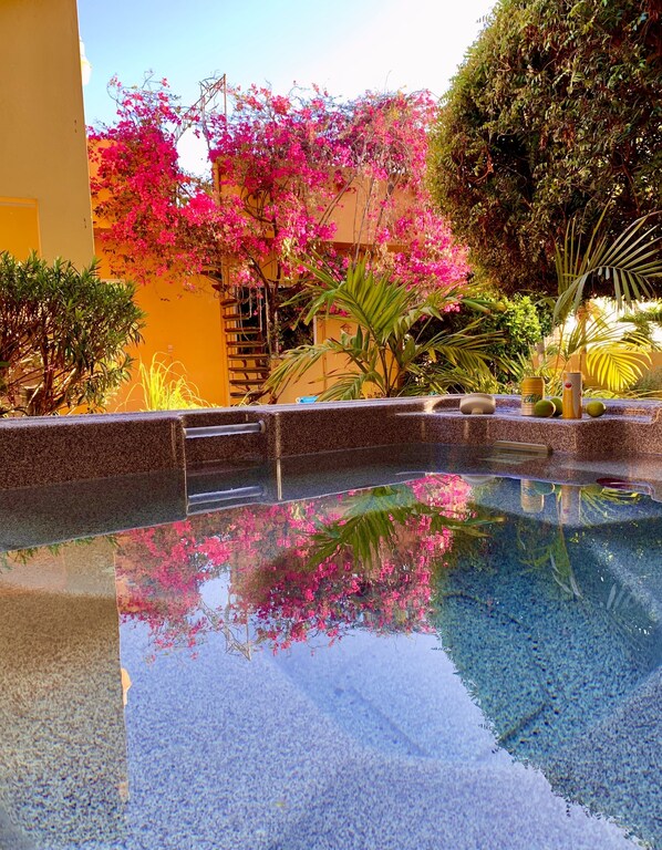Una piscina con agua cristalina que refleja la vegetación y un edificio circundantes.
