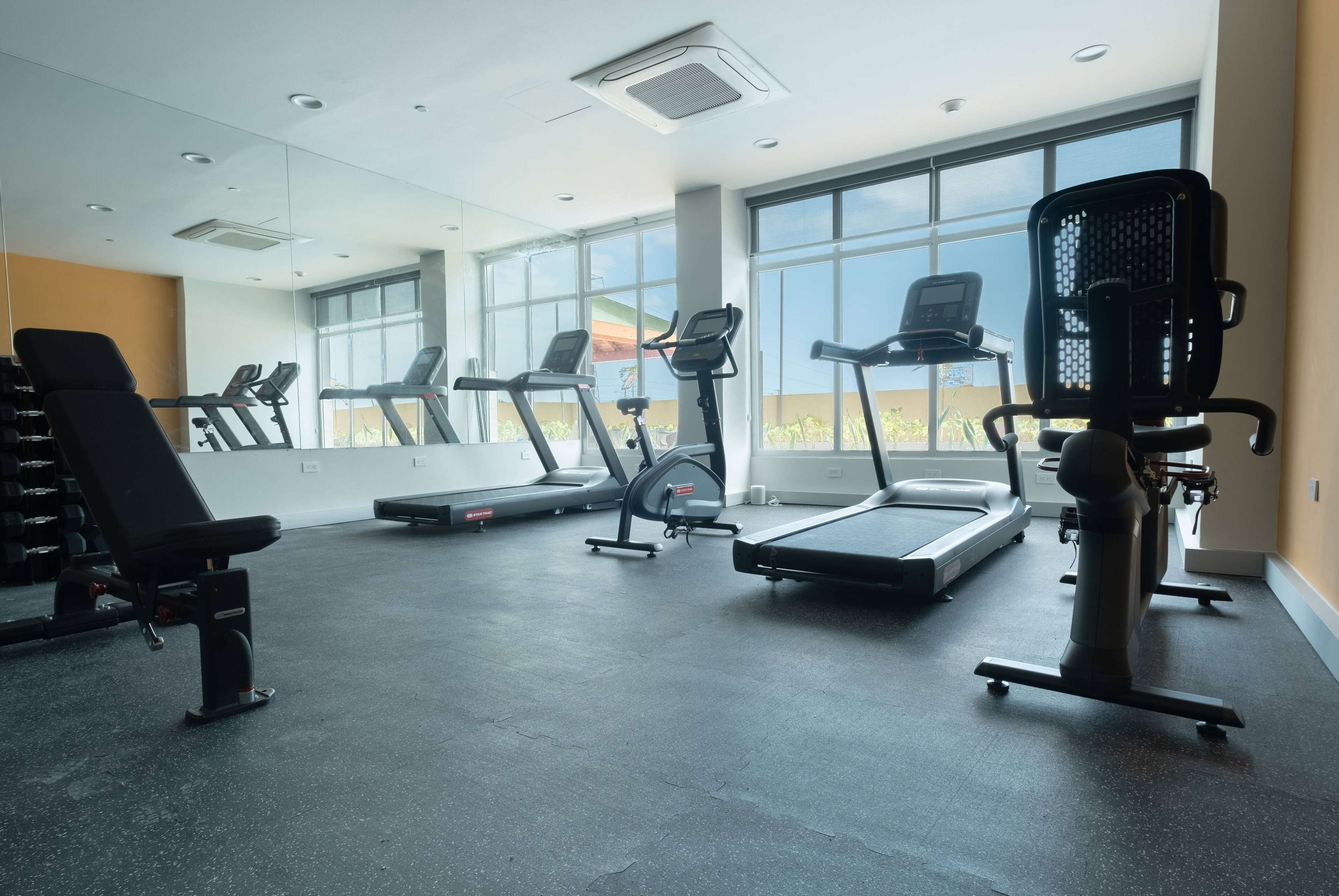 A gym with treadmills, elliptical machines, and weight benches.